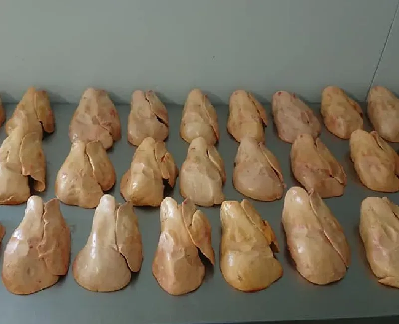 producteur de foie gras (2)