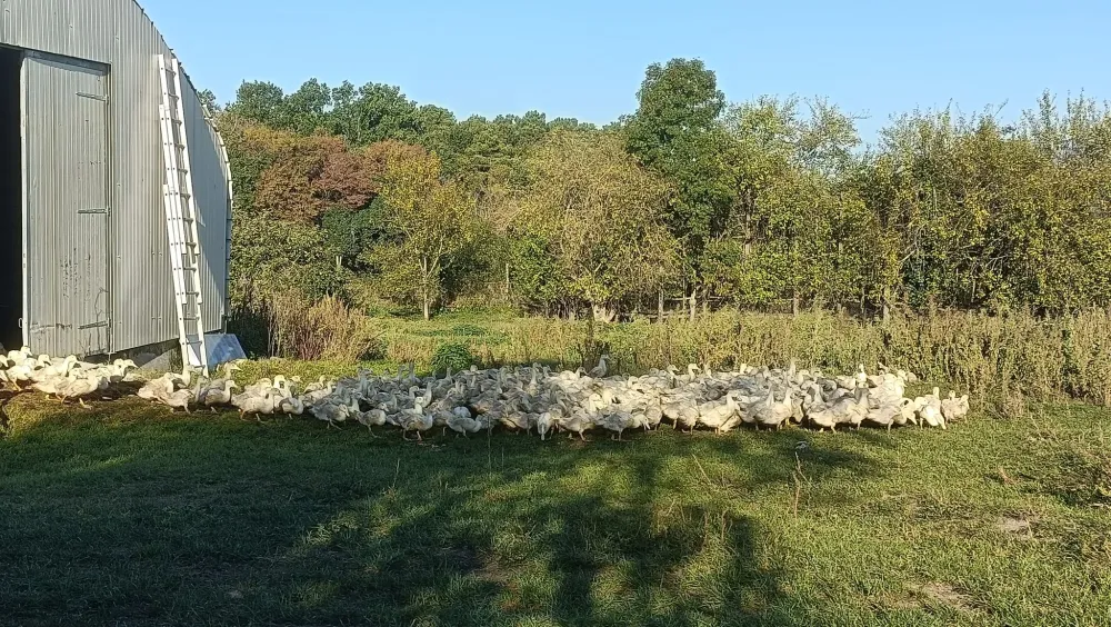 vente à la ferme à Périgueux