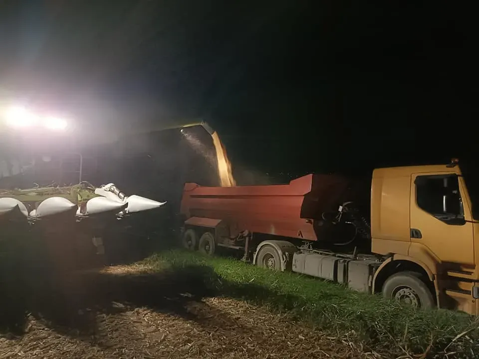 la ferme (7)